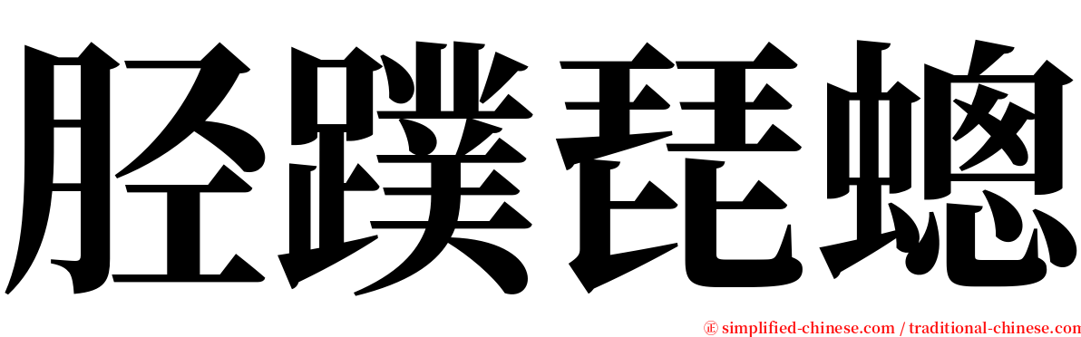 胫蹼琵蟌 serif font