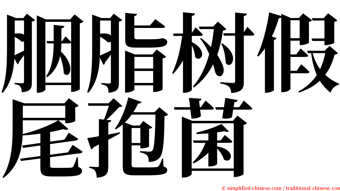 胭脂树假尾孢菌 serif font