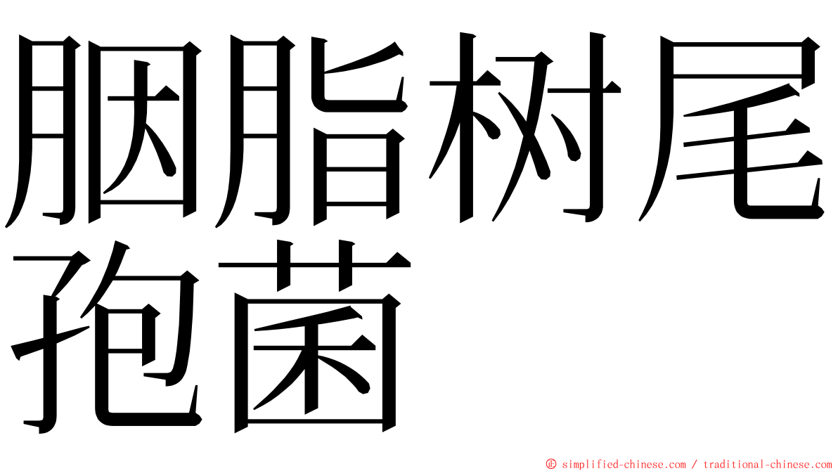 胭脂树尾孢菌 ming font