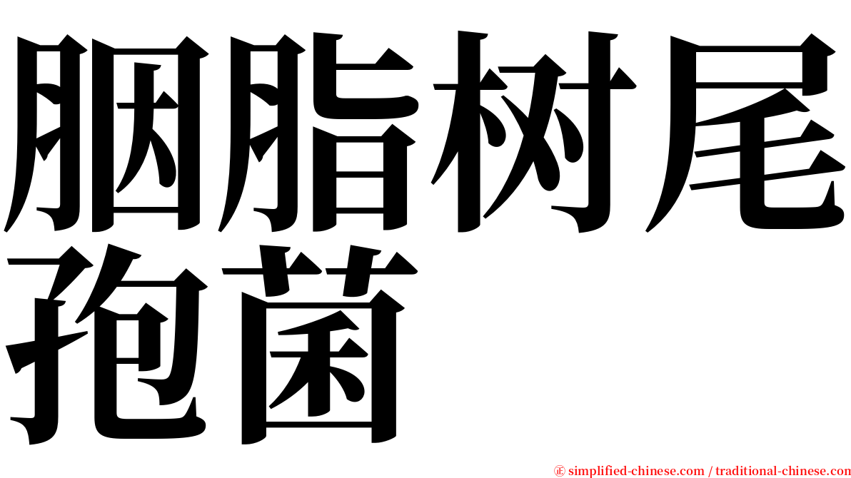 胭脂树尾孢菌 serif font