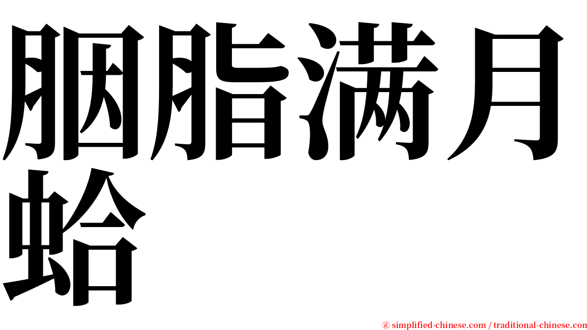 胭脂满月蛤 serif font