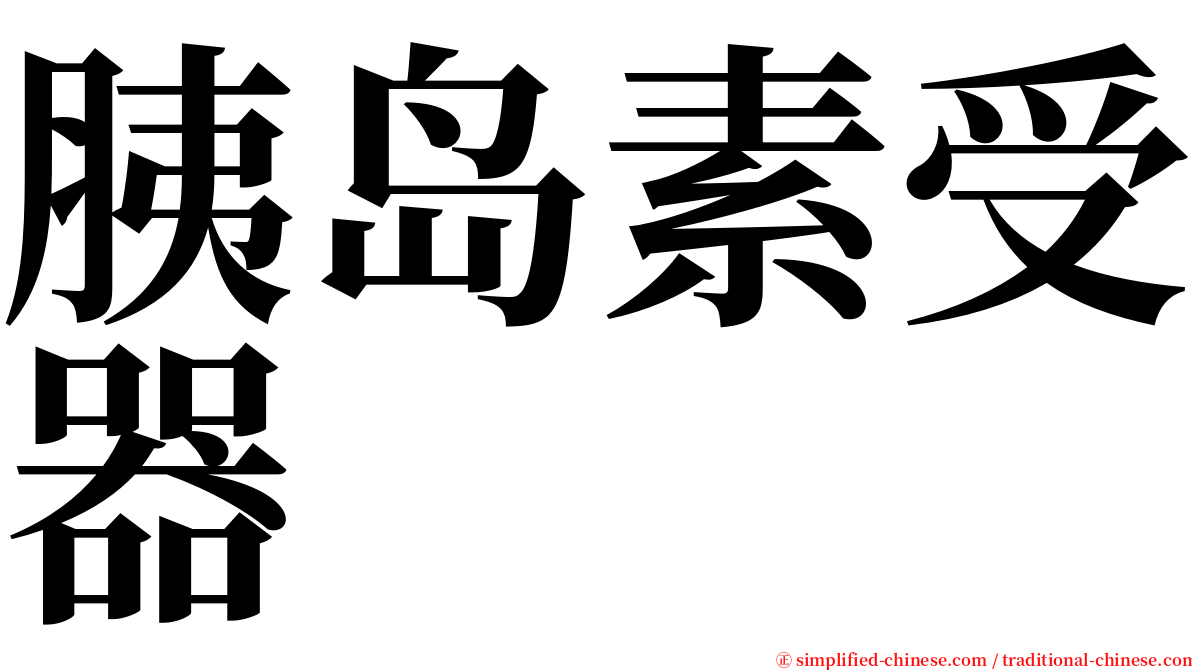 胰岛素受器 serif font