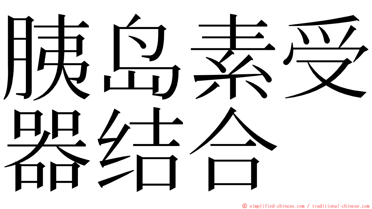 胰岛素受器结合 ming font