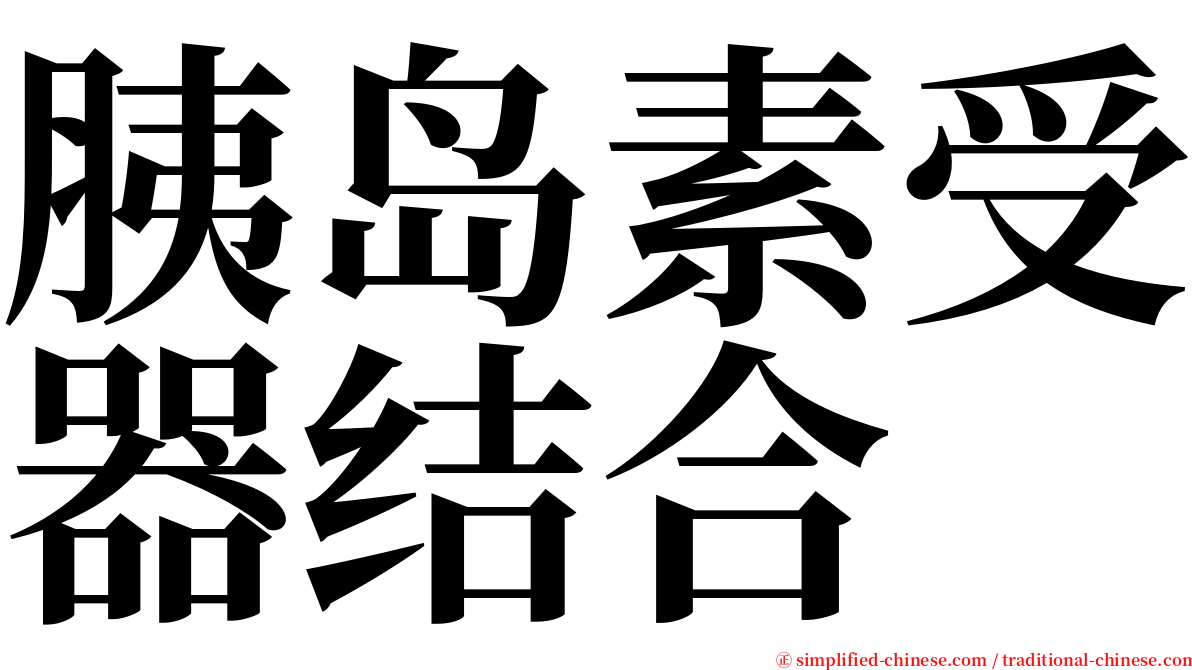 胰岛素受器结合 serif font