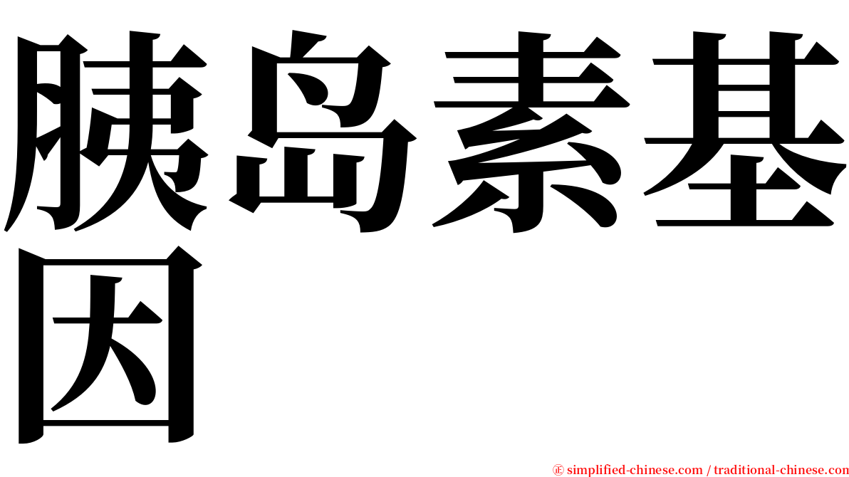 胰岛素基因 serif font