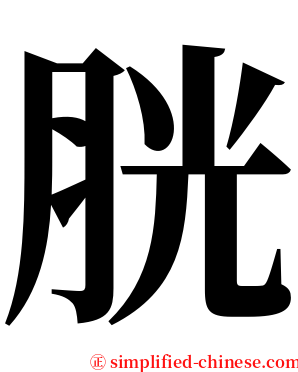 胱 serif font