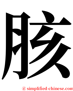 胲 serif font