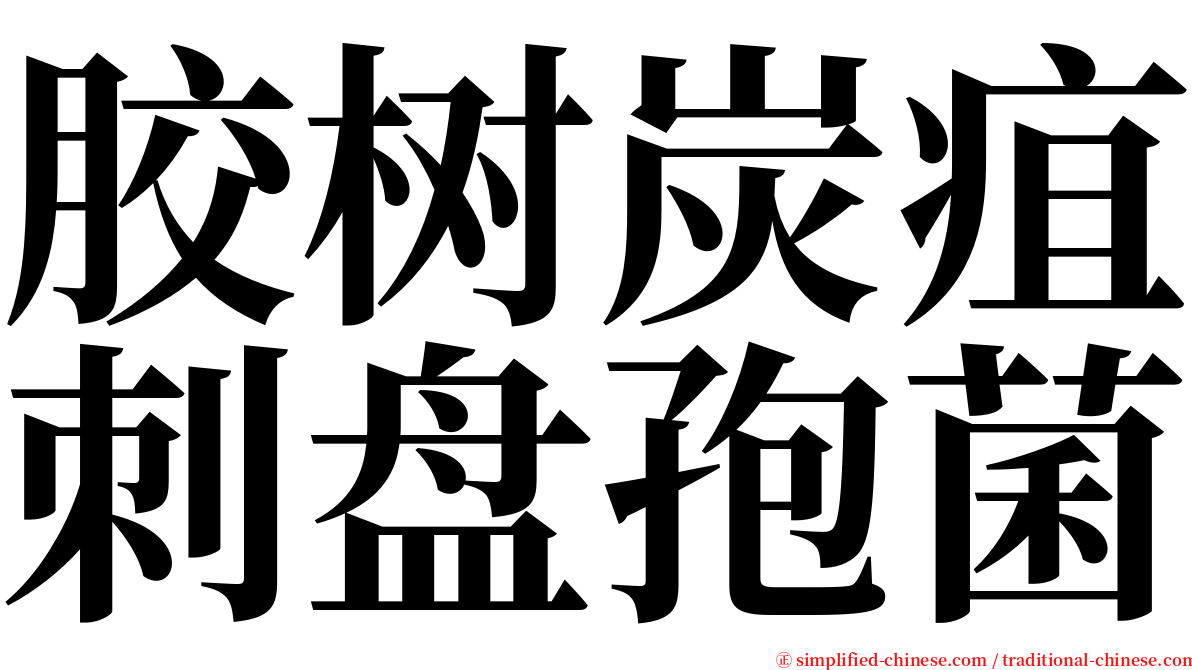 胶树炭疽刺盘孢菌 serif font