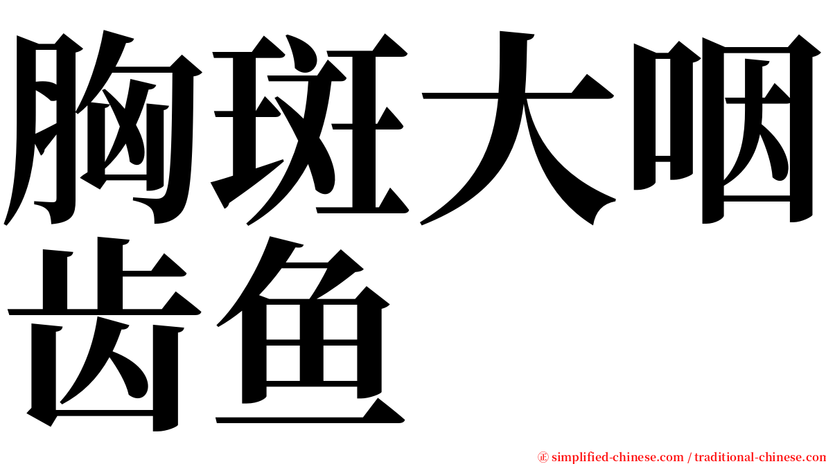 胸斑大咽齿鱼 serif font