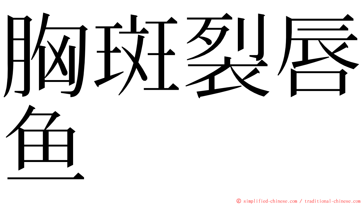 胸斑裂唇鱼 ming font