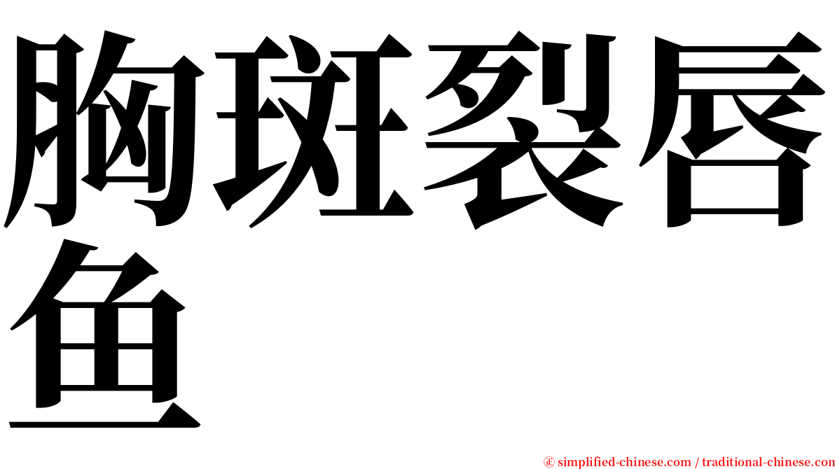 胸斑裂唇鱼 serif font