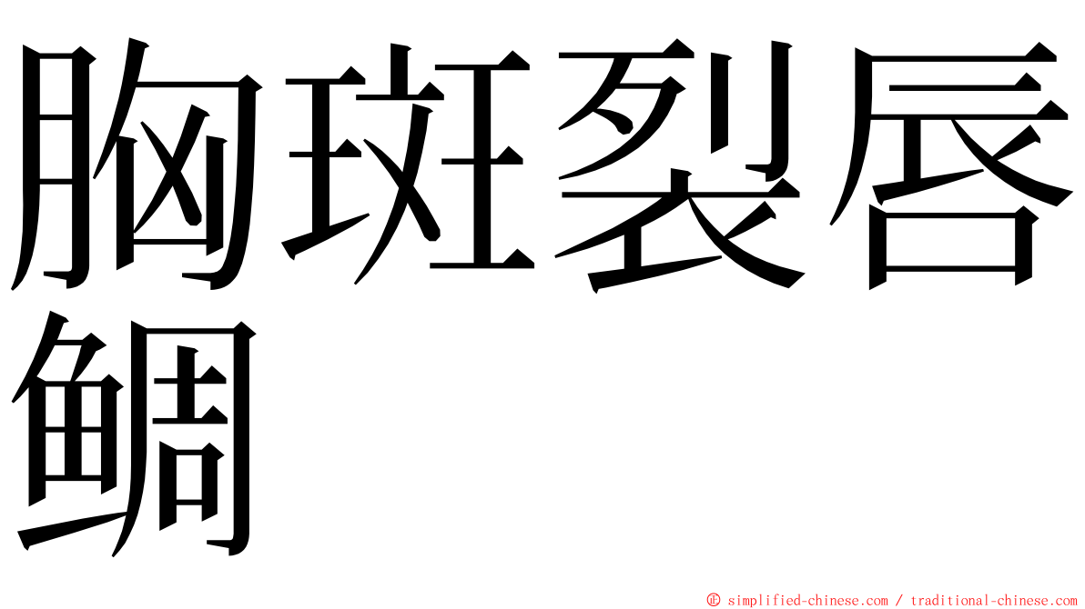 胸斑裂唇鲷 ming font