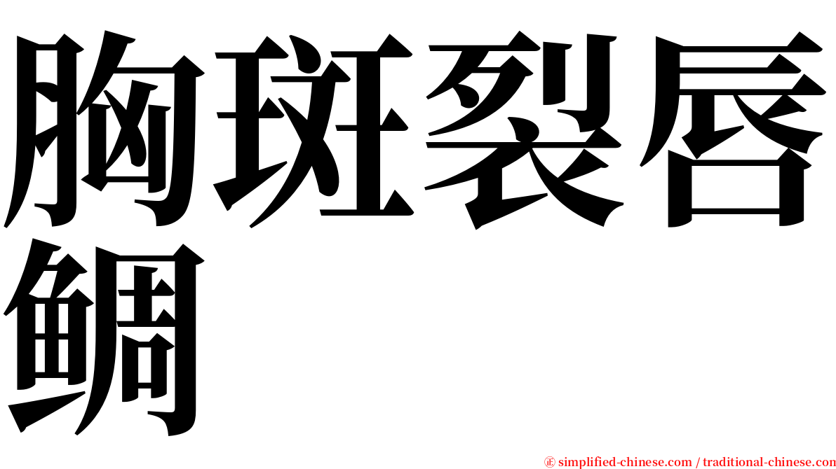 胸斑裂唇鲷 serif font