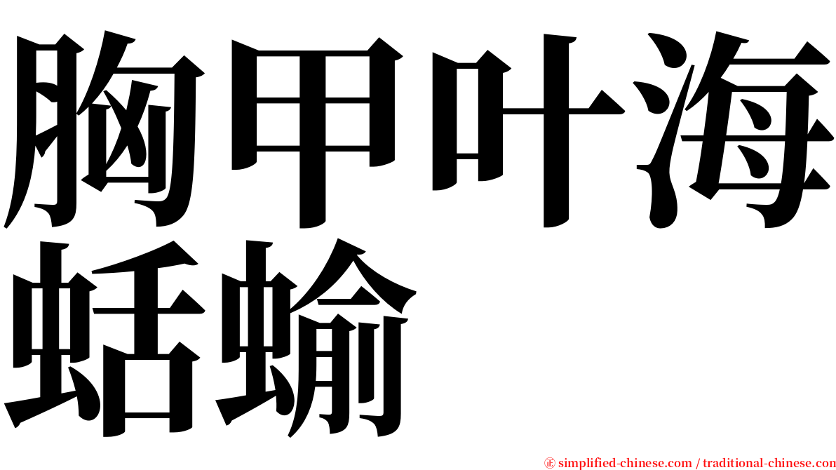 胸甲叶海蛞蝓 serif font