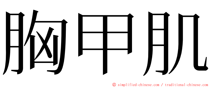 胸甲肌 ming font