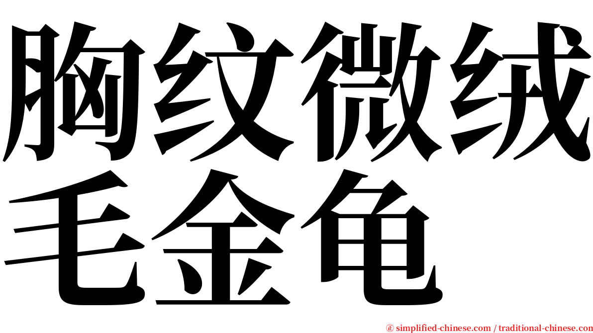 胸纹微绒毛金龟 serif font