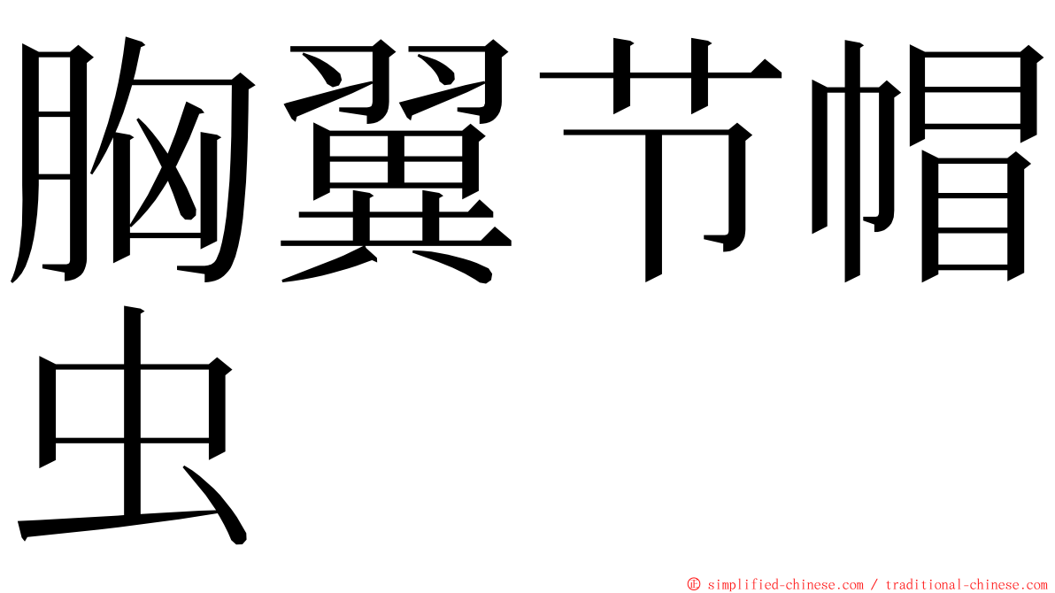 胸翼节帽虫 ming font