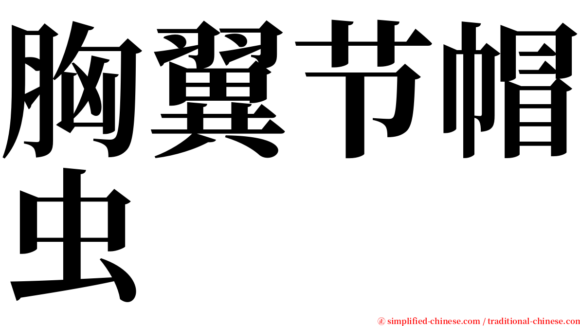 胸翼节帽虫 serif font