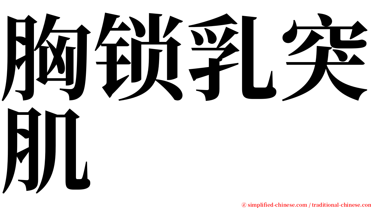 胸锁乳突肌 serif font