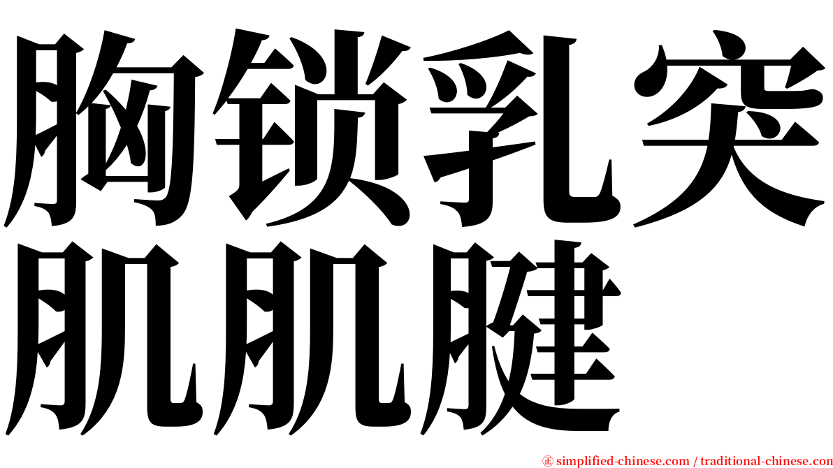 胸锁乳突肌肌腱 serif font