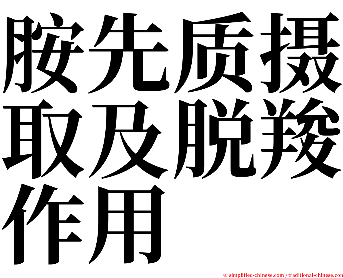 胺先质摄取及脱羧作用 serif font