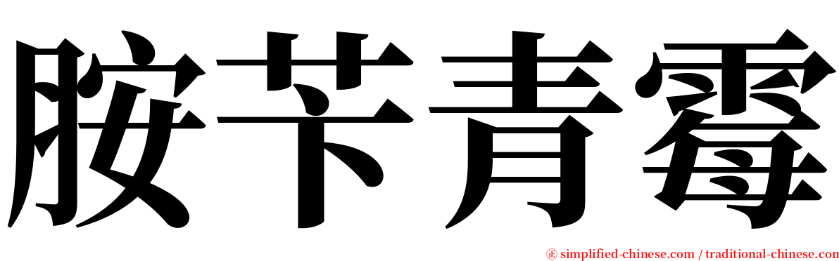 胺苄青霉 serif font