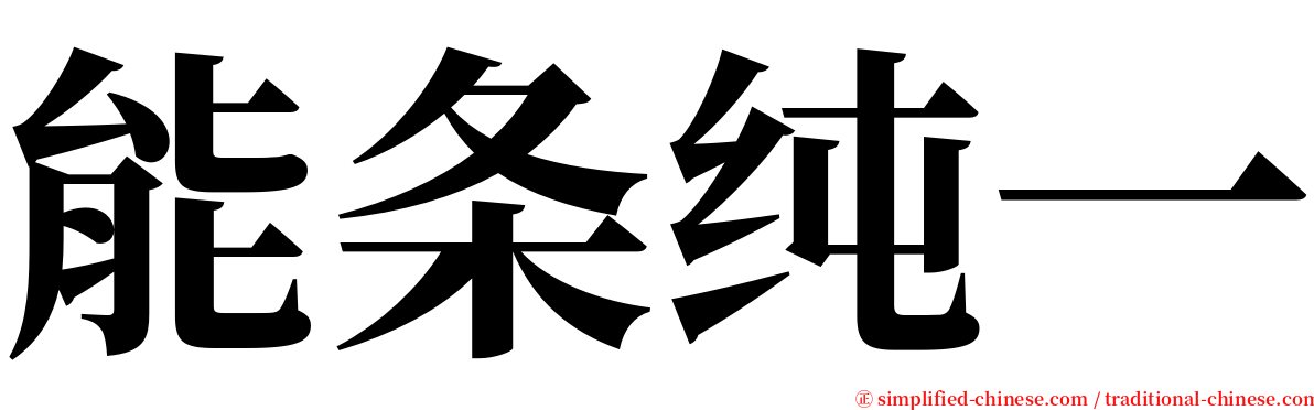 能条纯一 serif font