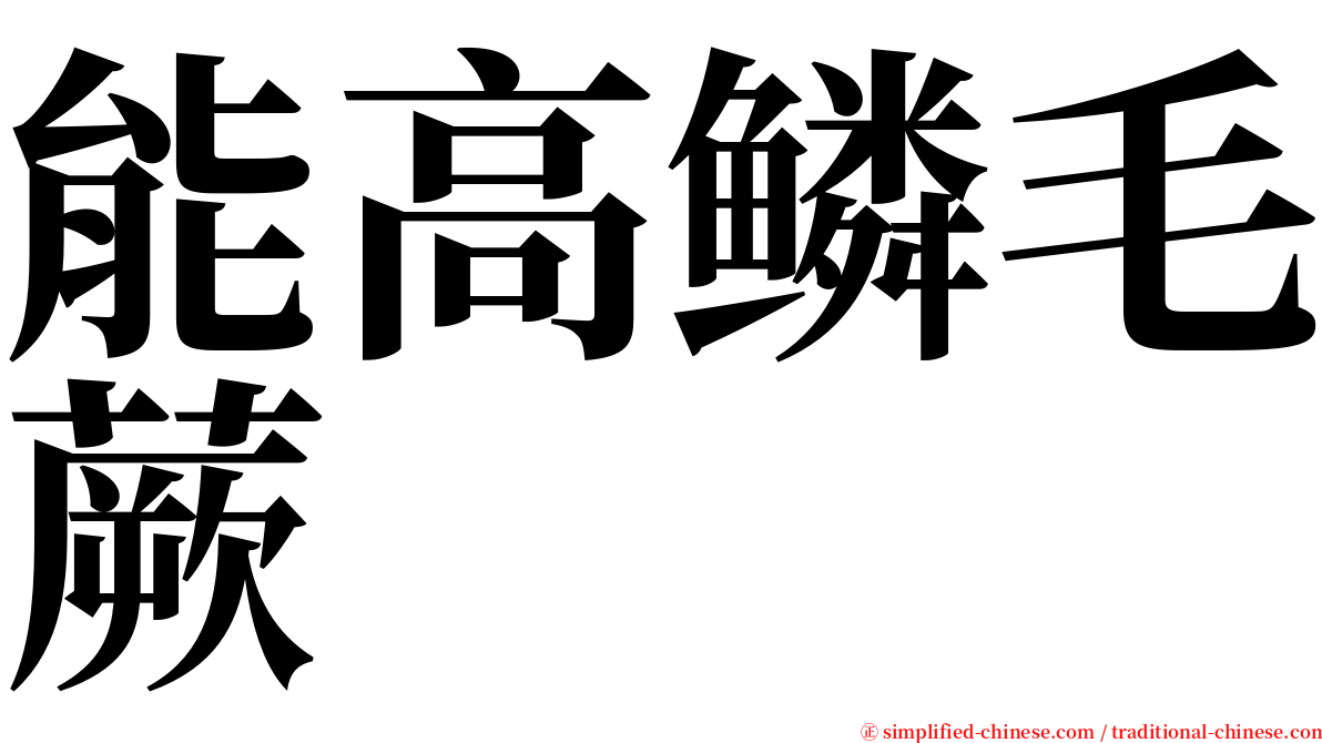 能高鳞毛蕨 serif font