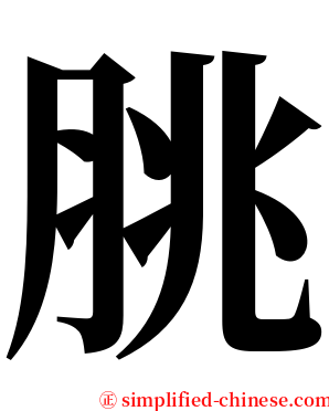 脁 serif font