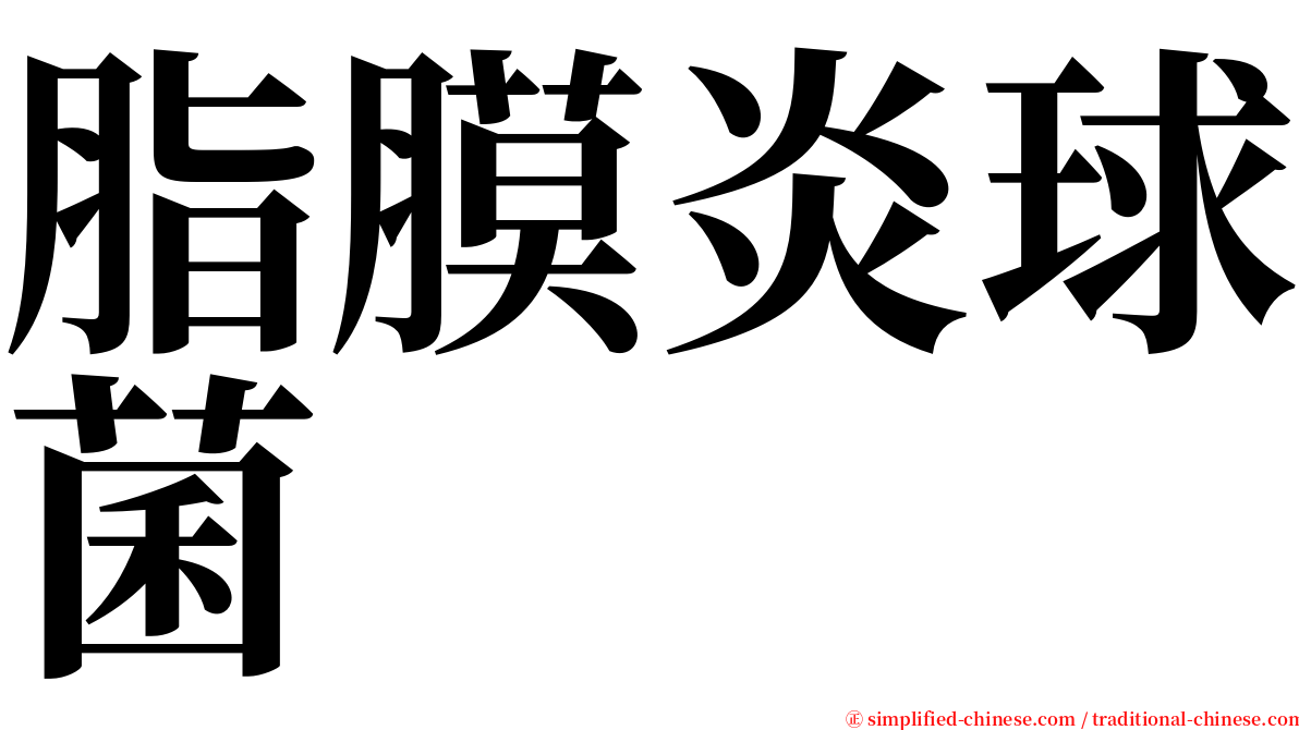 脂膜炎球菌 serif font