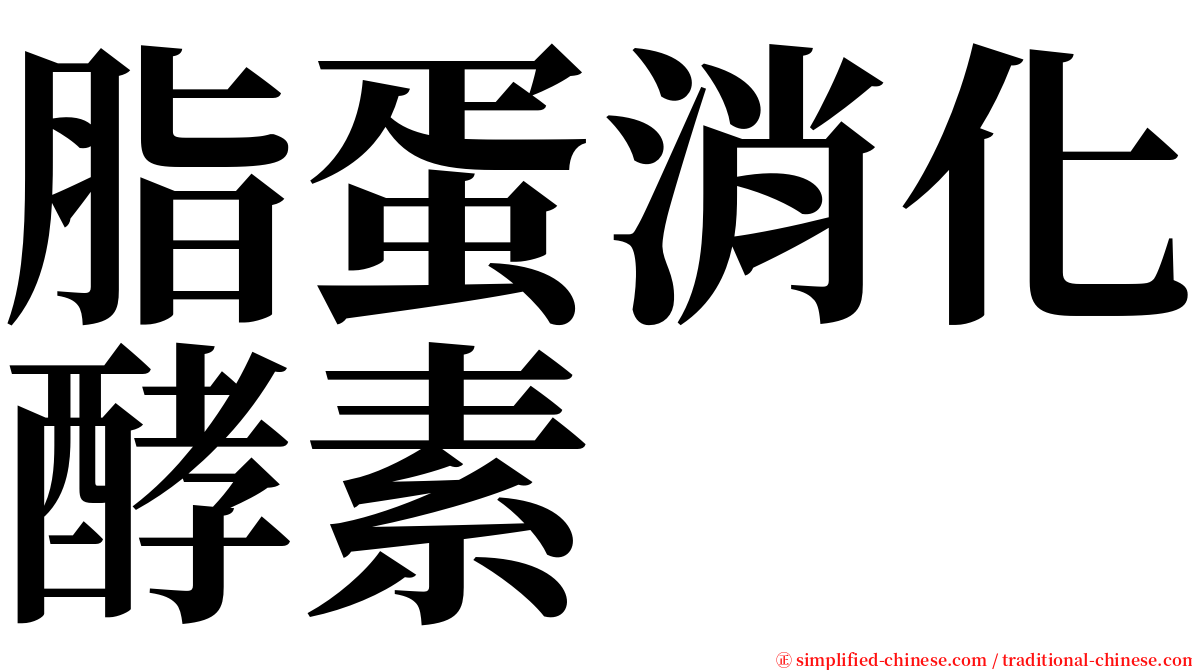 脂蛋消化酵素 serif font