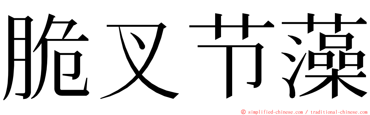 脆叉节藻 ming font