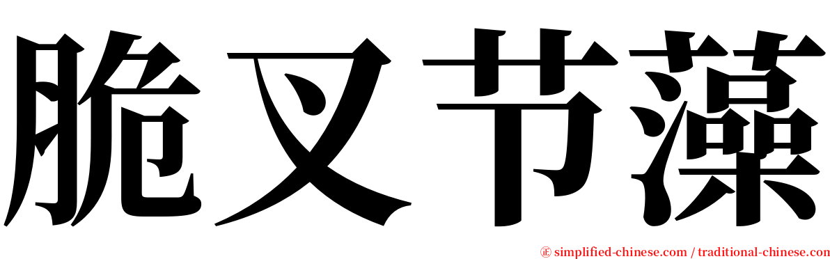 脆叉节藻 serif font