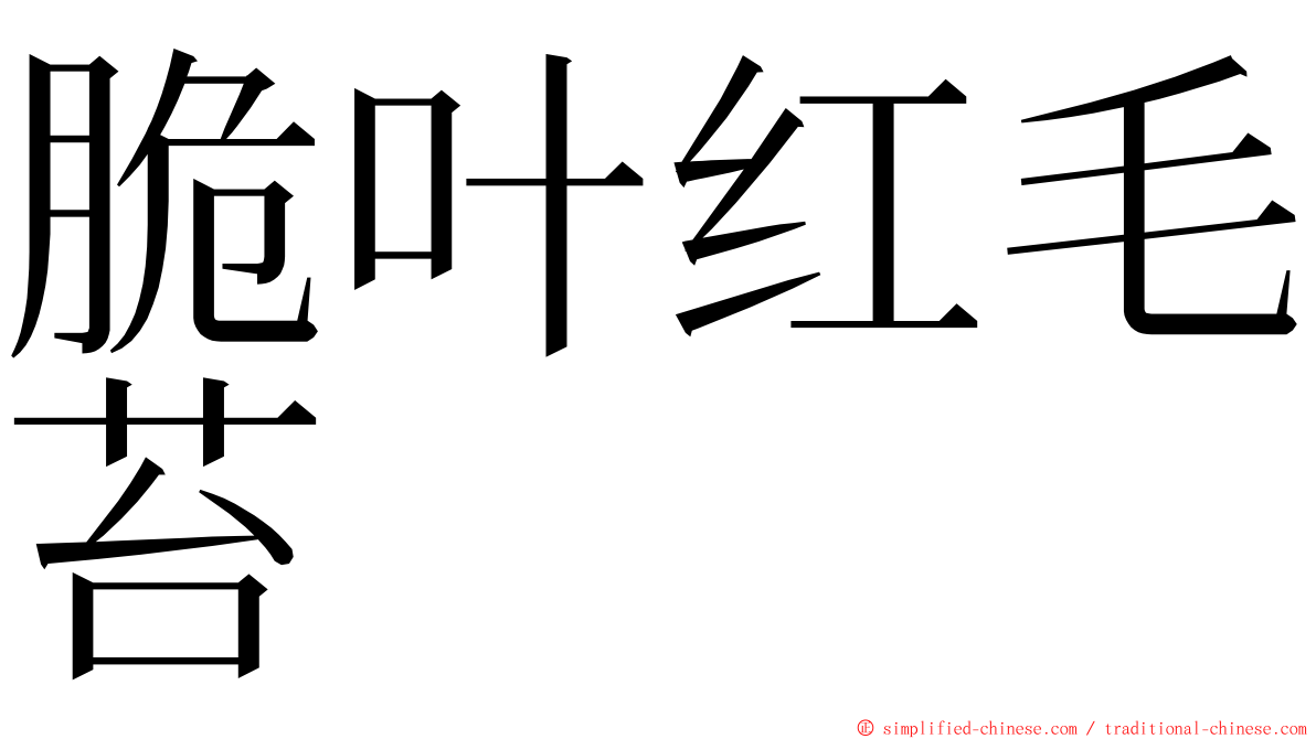 脆叶红毛苔 ming font