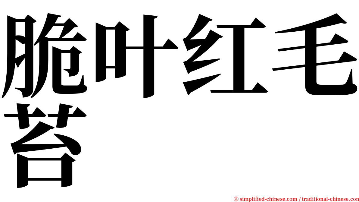 脆叶红毛苔 serif font