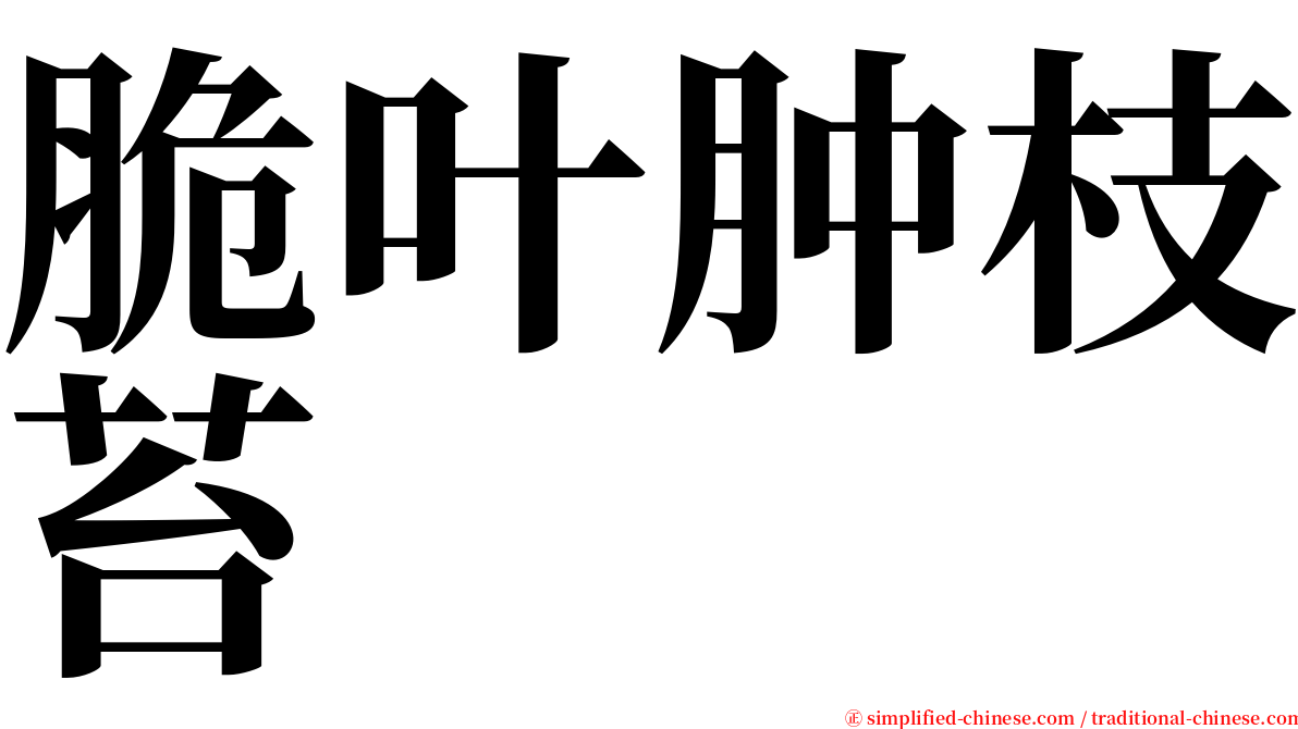 脆叶肿枝苔 serif font