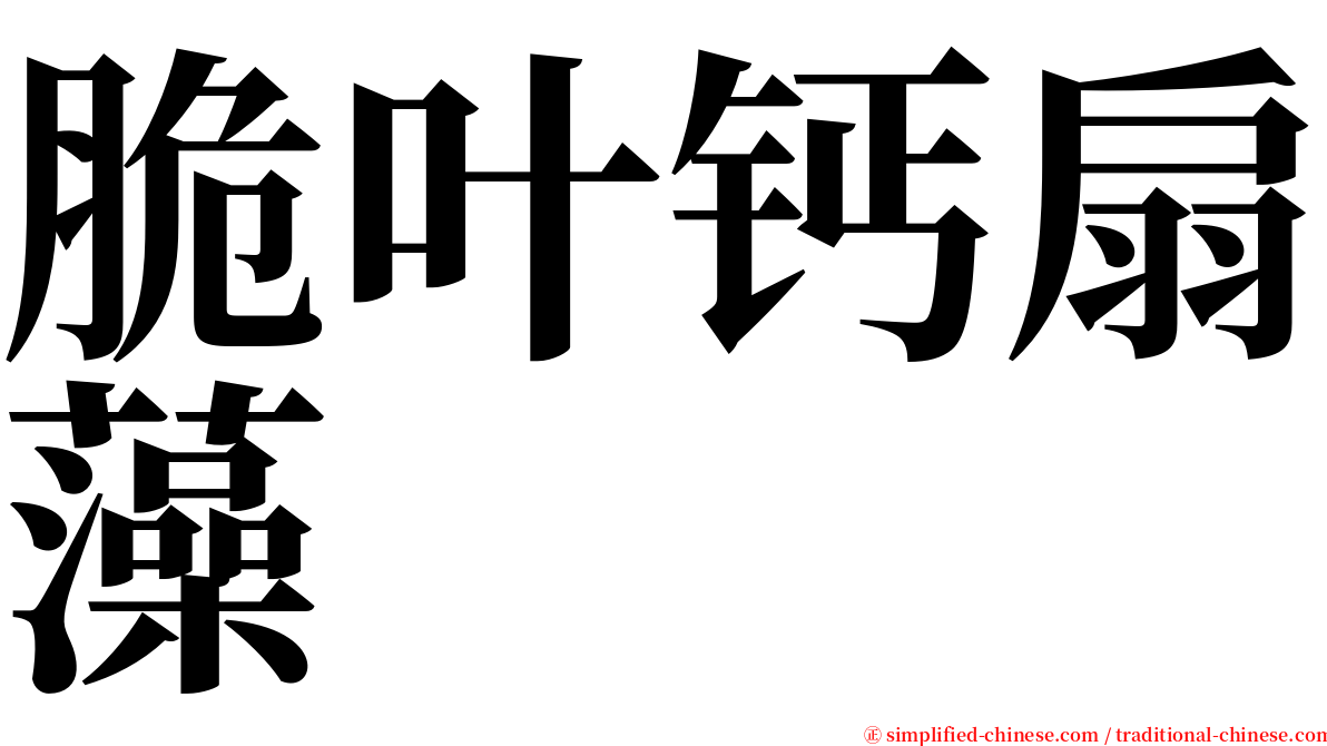 脆叶钙扇藻 serif font