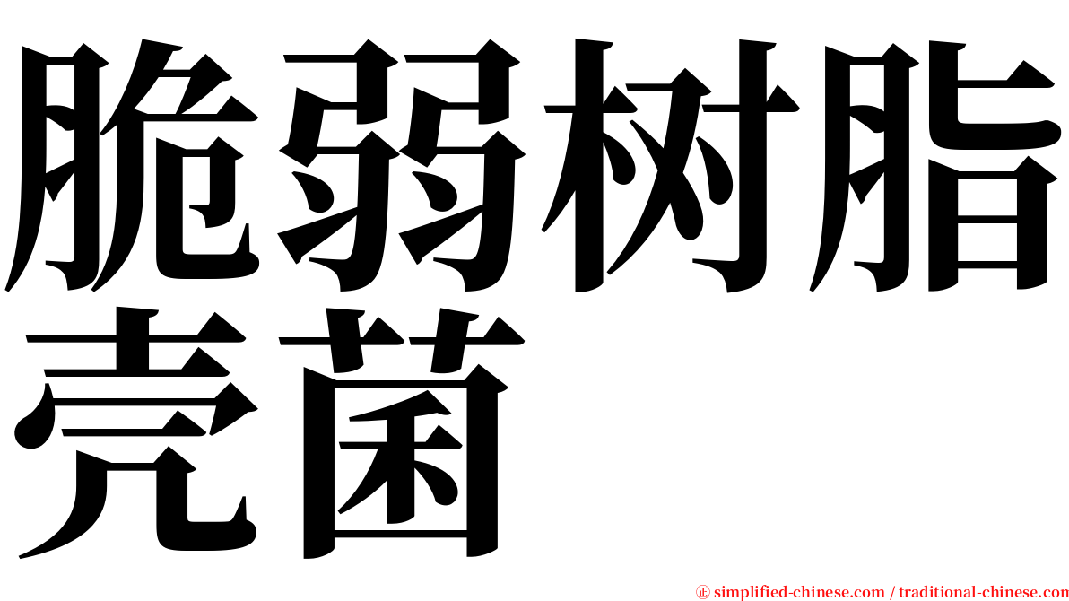 脆弱树脂壳菌 serif font