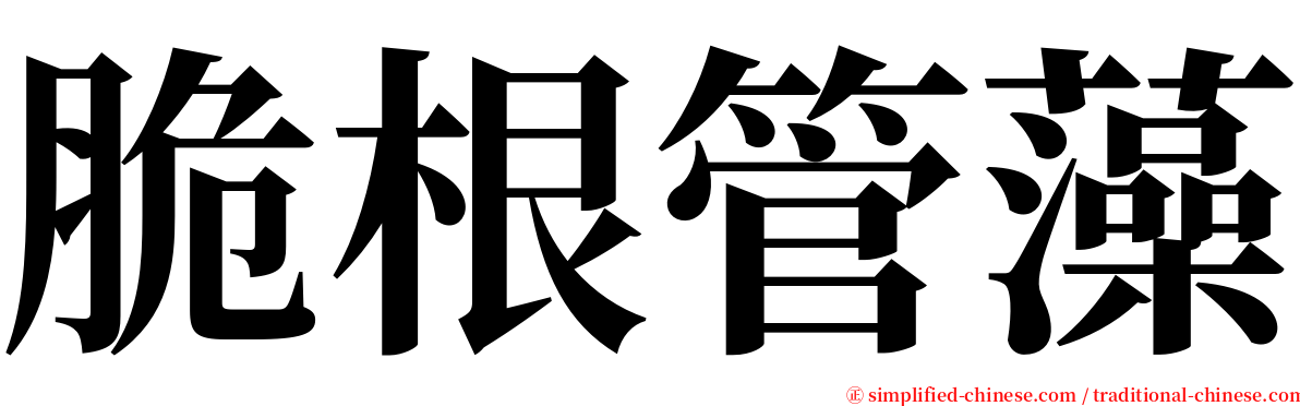 脆根管藻 serif font