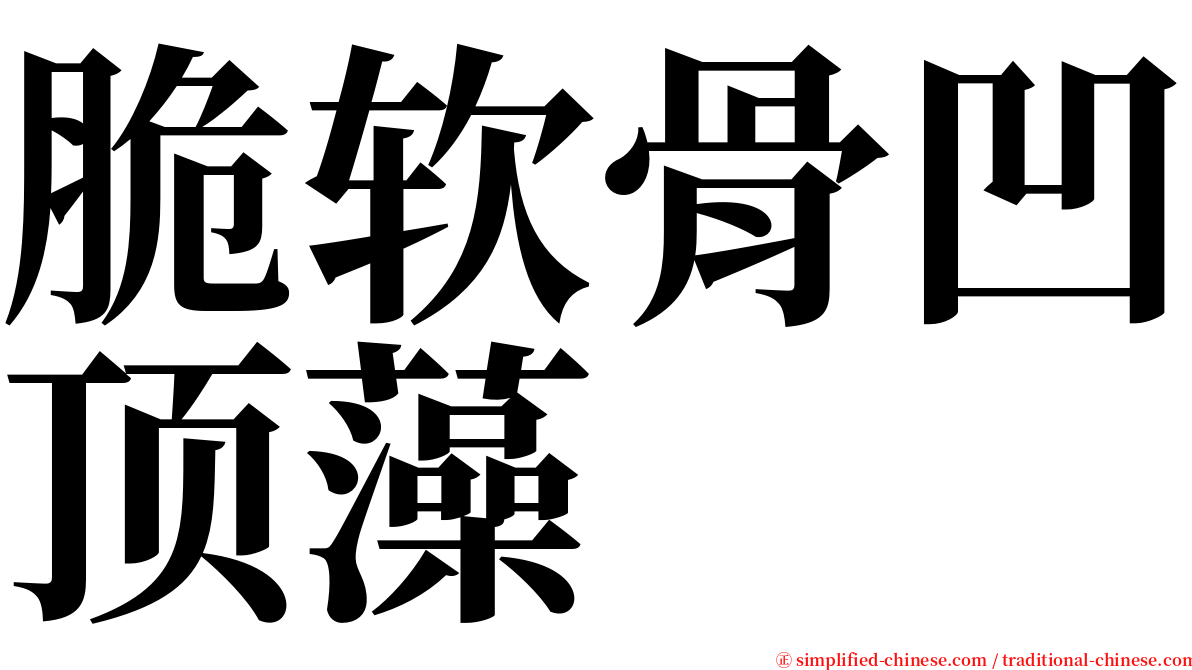 脆软骨凹顶藻 serif font