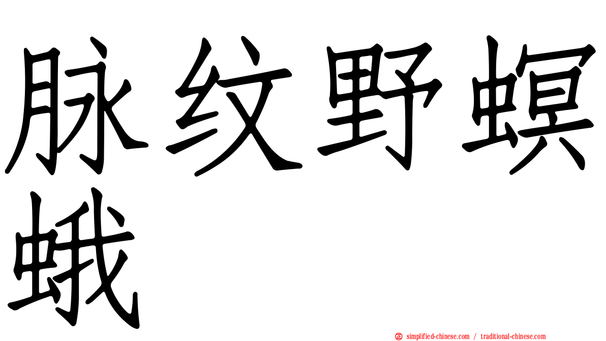 脉纹野螟蛾