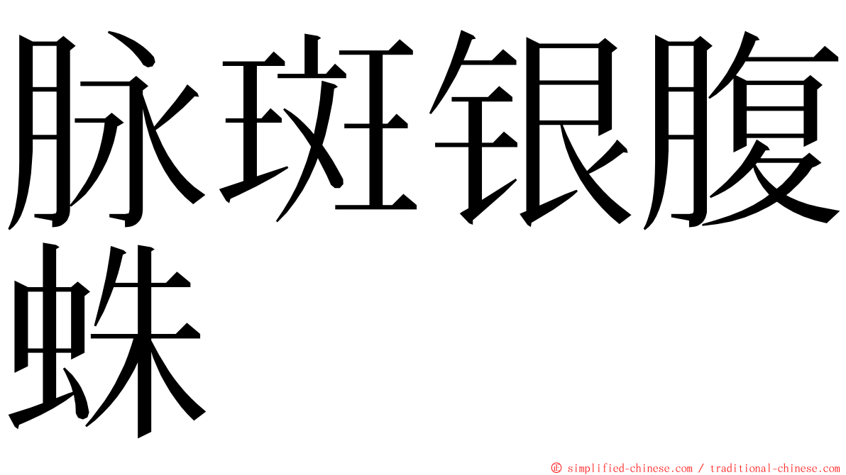 脉斑银腹蛛 ming font