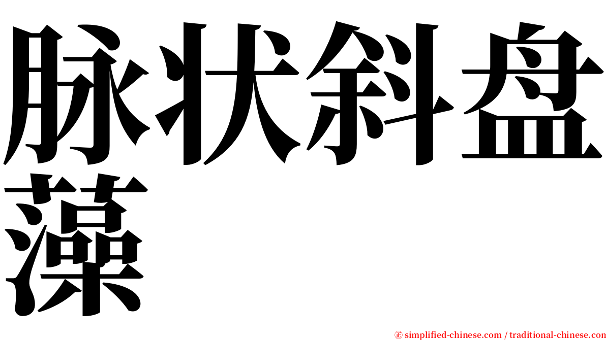 脉状斜盘藻 serif font