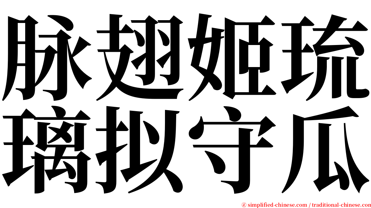 脉翅姬琉璃拟守瓜 serif font