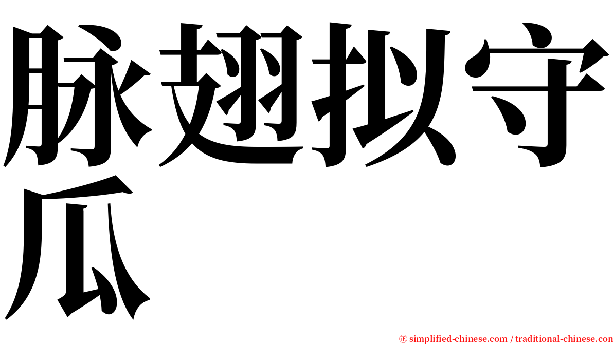 脉翅拟守瓜 serif font