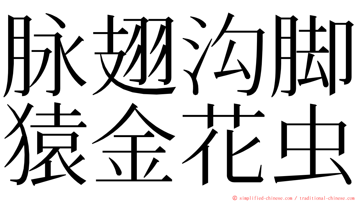 脉翅沟脚猿金花虫 ming font