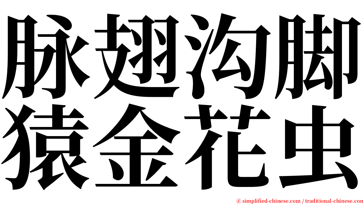 脉翅沟脚猿金花虫 serif font