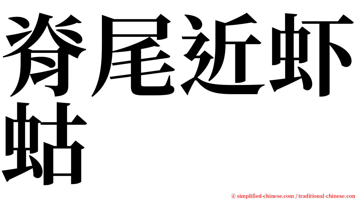 脊尾近虾蛄 serif font