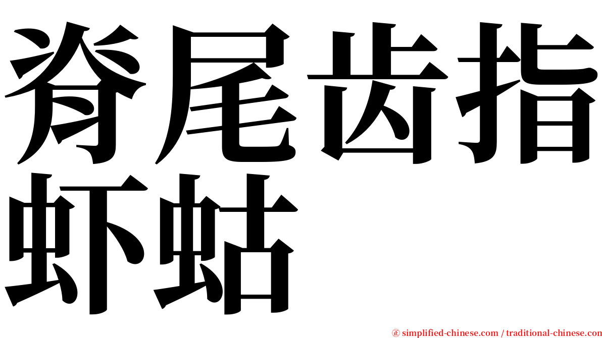 脊尾齿指虾蛄 serif font