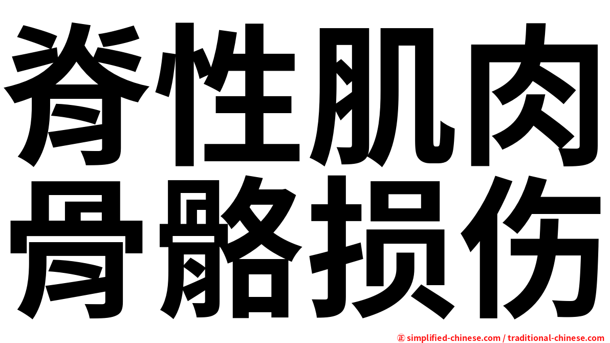 脊性肌肉骨骼损伤